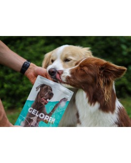 GELOREN Large Dog Suplement dla psa - 420g
