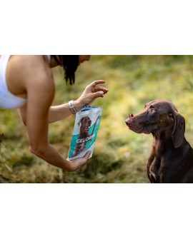 GELOREN Large Dog Suplement dla psa - 420g
