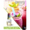 Blender osobisty CAMRY CR 4071