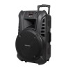 Aktywna kolumna głośnikowa (z 2 mikrofonami bezprzewodowymi UHF, SD, Bluetooth, FM, USB) 60 Watt