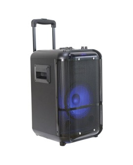 Denver TSP-306 Głośnik z adresem publicznym (PA)