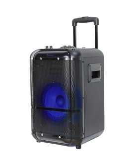 Denver TSP-306 Głośnik z adresem publicznym (PA)