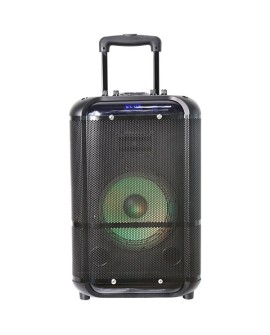 Denver TSP-306 Głośnik z adresem publicznym (PA)