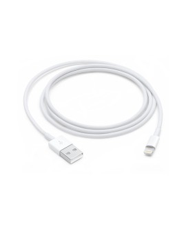 Apple Lightning to USB Cable (1m)