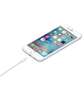 Apple Lightning to USB Cable (1m)