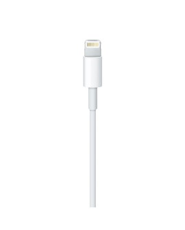 Apple Lightning to USB Cable (1m)