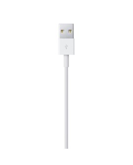Apple Lightning to USB Cable (1m)