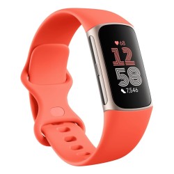 Fitbit Charge 6 Fitness...