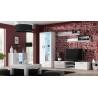 Witryna SOHO S6 2D2S biały/ biały połysk