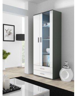 Witryna SOHO S6 2D2S szary/ biały połysk