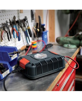 GX4820EU 48V 20A Industrial Charger