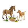 schleich HORSE CLUB 42432 zestaw zabawkowy