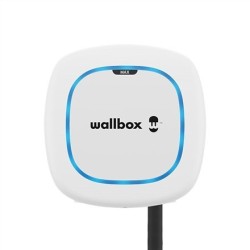 Wallbox Sienines dežes...