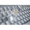 Razer Pro Type Ultra klawiatura Biuro USB + RF Wireless + Bluetooth QWERTY US English Srebrny, Biały