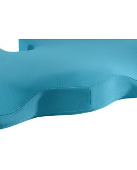LEITZ Ergo Cosy Ortopedyczna poduszka na krzesło niebieska