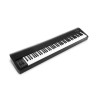 M-AUDIO HAMMER 88 klawiatura MIDI 88 klaw. USB Czarny, Biały