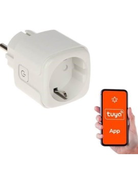 SMART HOME WIFI SMART SOCKET/ATLO-P1-TUYA GENWAY