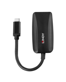 Lindy 43337 adapter kablowy 0,13 m USB Type-C DisplayPort Czarny