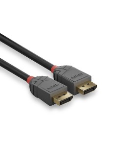 Lindy 36486 kabel DisplayPort 10 m Czarny