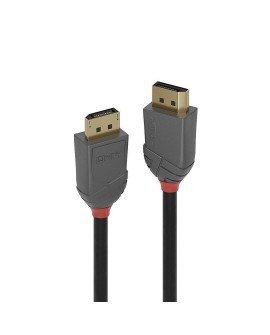 Lindy 36486 kabel DisplayPort 10 m Czarny