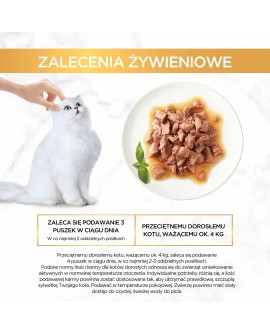 Gourmet Gold Sauce Delights mokra karma dla kota z kurczakiem 85 g