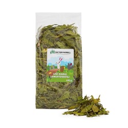FACTORYHERBS Liść babki...