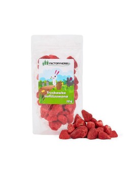 FACTORYHERBS Truskawka liofilizowana 20g