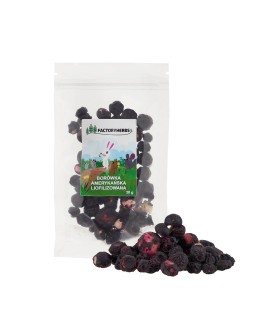 FACTORYHERBS Borówka amerykańska liofilizowana 10g