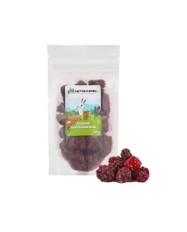 FACTORYHERBS Jeżyna liofilizowana 20g