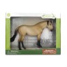 Klacz Lusitano maści Buttermilk Buckskin (Deluxe)