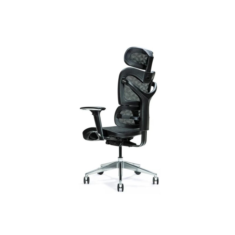 Ergonomiczny fotel biurowy ERGO 600 czarny