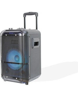 Denver TSP-306 Głośnik z adresem publicznym (PA)