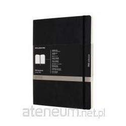 Notes Professional 19x25...