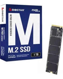 Dysk SSD BIOSTAR M760 1TB
