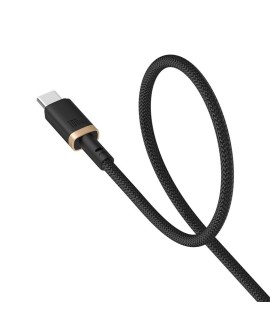 Kabel Baseus Dura Typ C-Typ C 100W 2m (czarno-złoty)