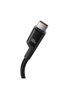 Kabel Baseus Fish-Eye Typ C-Typ C 100W 1m (czarny)