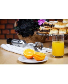 Eldom Blender Wielofunkcyjny BL220 MOX, 1000W