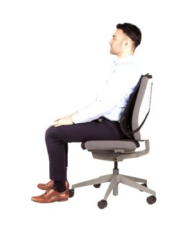 Fellowes Ergonomia podpórka poduszka pod plecy siatkowa profesjonalna