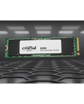 Crucial E100 480 GB M.2 PCI Express 4.0 NVMe