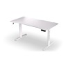 Biurko ENDORFY Atlas L Electric OWH
