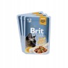 Brit Premium Family Plate dla kotów saszetki w sosie mix smaków 12x85g