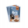 Brit Premium Family Plate dla kotów saszetki w sosie mix smaków 12x85g