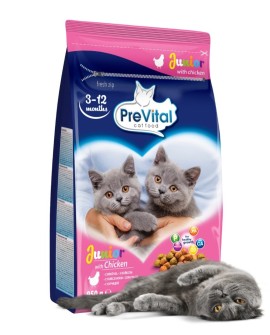 PREVITAL kurczak karma sucha karma kocięta 0,95kg