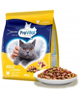 PREVITAL kurczak karma sucha dla kotów 300g