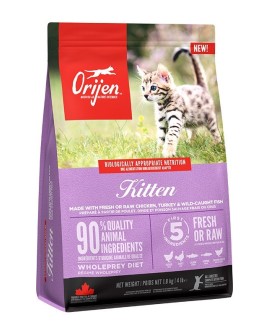 ORIJEN Kitten Sucha Karma dla kociąt 1,8kg