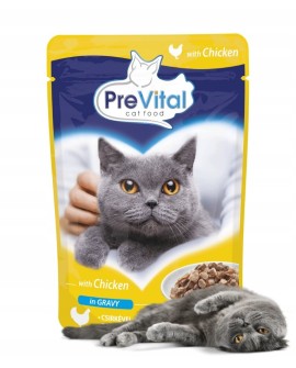 PREVITAL kurczak w galaretce dla kotów 100g