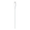 Apple MW2R3ZM/A kabel Lightning 2 m Biały