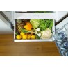 Chłodziarko-zamrażarka GORENJE NRK620CA2XL4