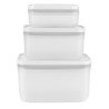 Zestaw 3 plast. pojemników ZWILLING Fresh & Save 36804-003-0