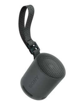 Sony SRS-XB100 Głośnik mono przenośny Czarny